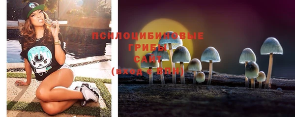 прущие крисы Михайлов