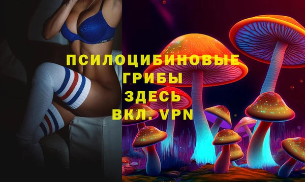 МДПВ Верея