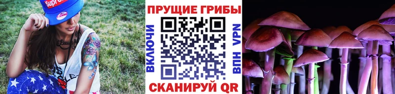 KRAKEN ссылки  Курчатов  Галлюциногенные грибы Psilocybe 