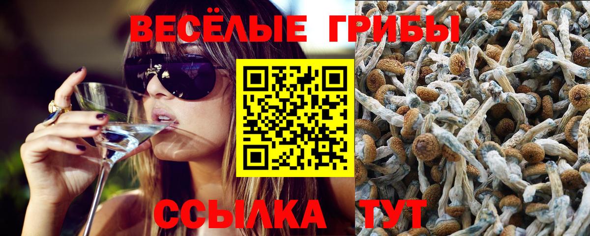 Курчатов  Галлюциногенные грибы мухоморы  Галлюциногенные грибы Magic Shrooms  Вход с VPN 